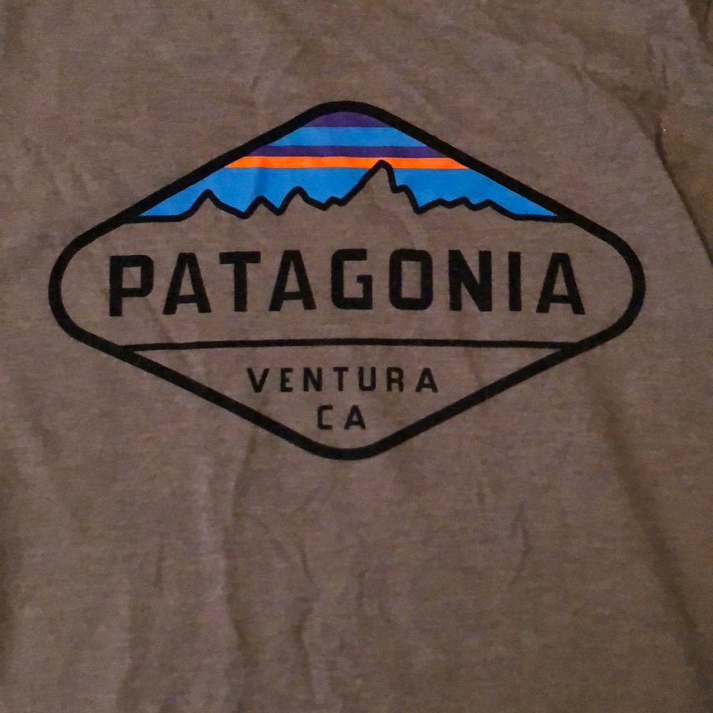 Patagonia Tee